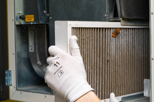 Best Home Air Vent Cleaning  in Alcoa, TN