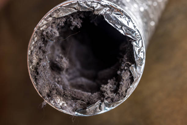 Best Air Vent Cleaning Services  in Alcoa, TN